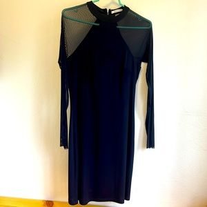 Bailey 44 mesh cocktail dress ✨